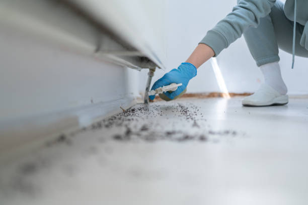 Best Best Pest Control Companies  in Dover Beaches North, NJ